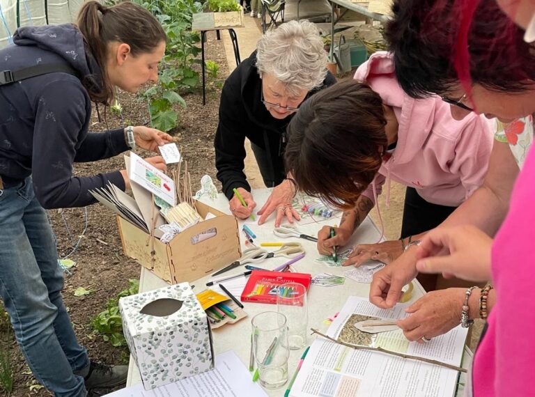 Newsletter 11-2026